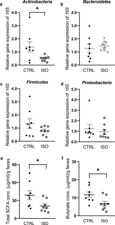 Relative Abundance Of The Bacterial Phyla A Actinobacteria B