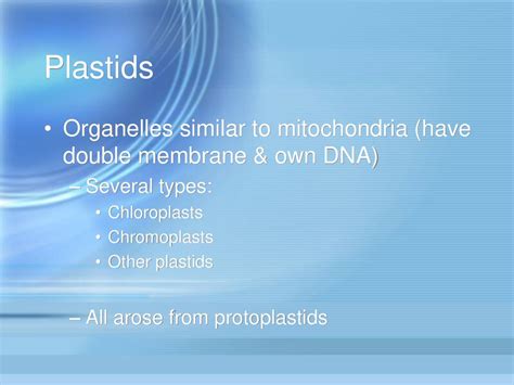 Cell Structure And Function Ppt Download