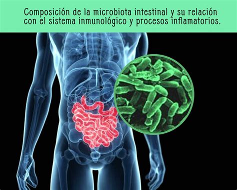 Composición de la microbiota intestinal y su relación con el sistema