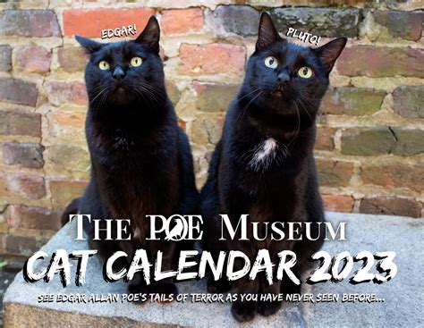 2023 Cat Calendar