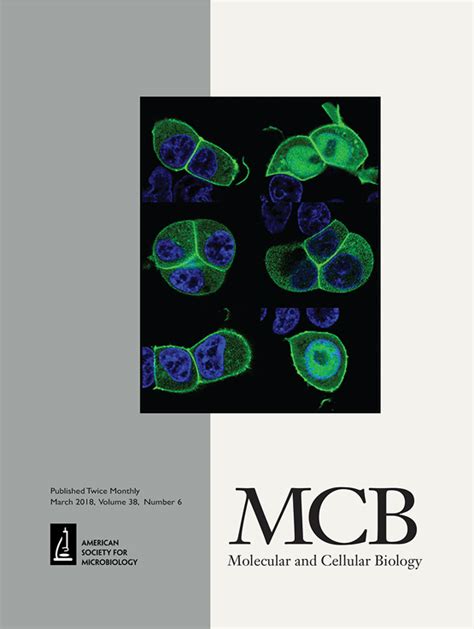 Full Article Retraction For Melillo Et Al Critical Role Of The Hmgi