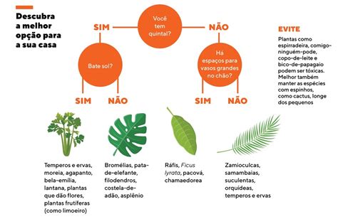 Como cuidar das plantas em casa as crianças