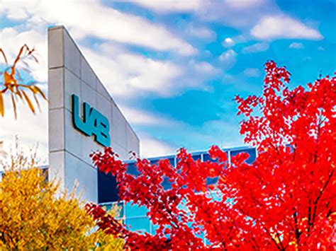 UAB shows strength in US News Best Colleges rankings - The Reporter | UAB