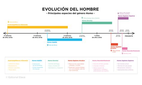 Evolucion Del Hombre