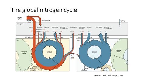 Why Do We Worry About Nitrogen A Brief