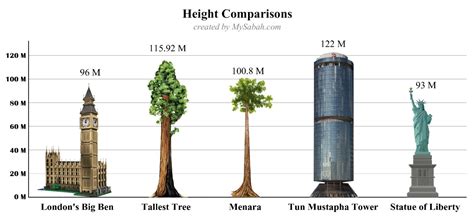 The Tallest Tropical Tree in the World (Updated) - MySabah.com