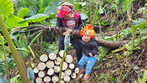 Full Video Days Of Harvesting Fruits And Vegetables For Sale