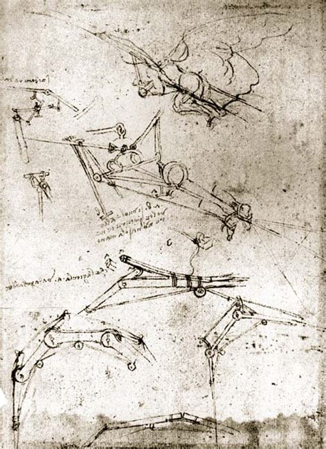 Leonardo Da Vinci And His Flying Machines