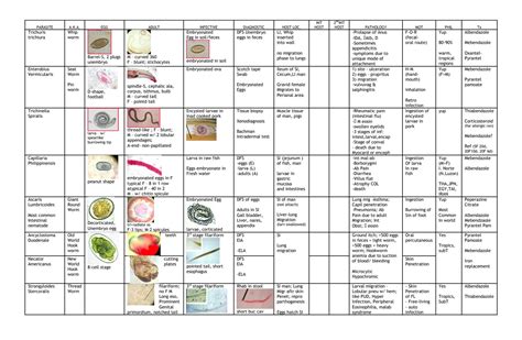 Solution Parasitology Summary Table Of Important Parasites Life Cycle Disease And Treatment