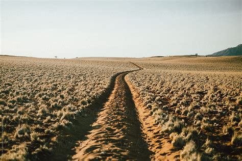 Dirt Track By Stocksy Contributor Juno Stocksy