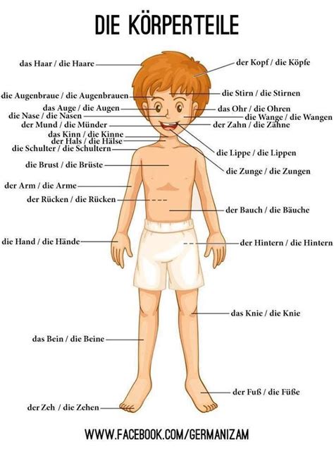 Pin De M Rian Gmes En Deutsch Lernen Aprender Alem N Idioma Alem N