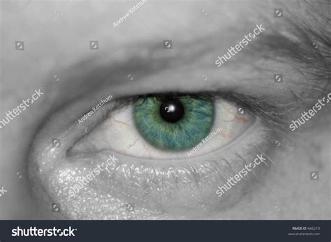 Angry Eye Stock Photo 666219 Shutterstock