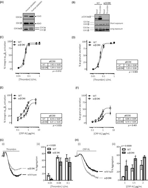 Platelets Expressing Phosphorylation Resistant Gsk3 Have Differentially