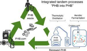 PHB Into PHB Recycling Of Polyhydroxybutyrate By A Tandem Thermolytic