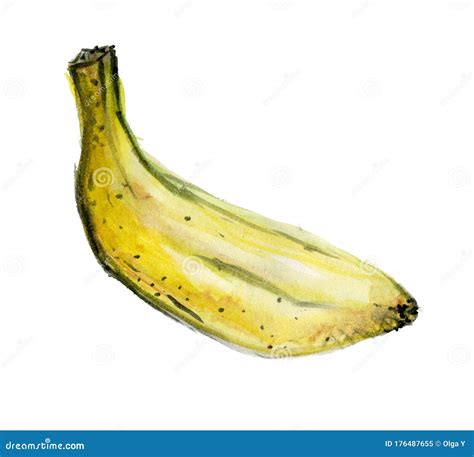 Image Of A Peeled Yellow Banana Watercolor Illustration Isolated On A