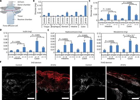 Ultrasound Mediated Gastrointestinal Drug Delivery Science