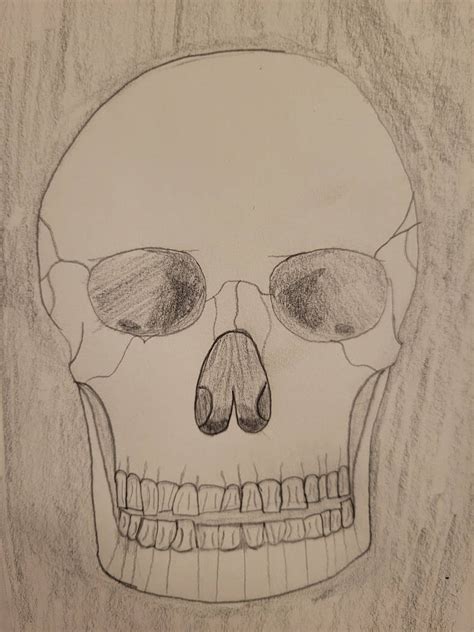 Skeleton head by BubblegumC on DeviantArt