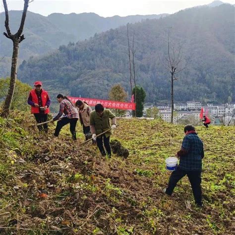 抗霖秋冬播大会战 田间地头生产忙，秋播冬种“号角”齐吹响！工作