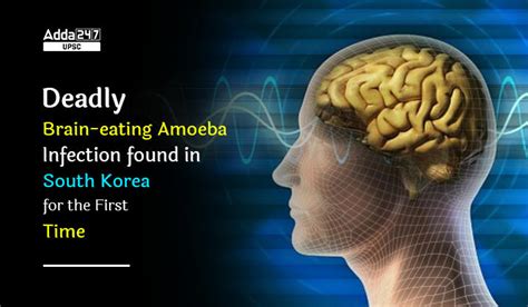 Primary Amebic Meningoencephalitis Pam Deadly Brain Eating Amoeba Infection Found In South