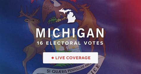 Michigan Congressional Primary Results 2024 Ilyse Leeanne