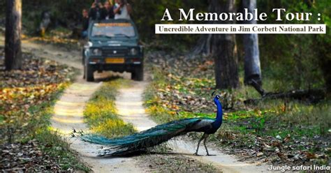 A Memorable Tour To Jim Corbett National Park