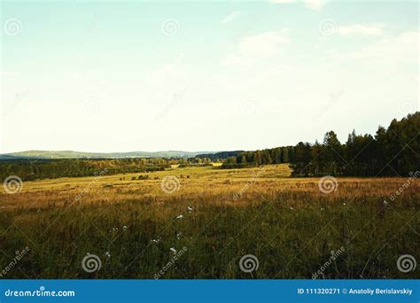 Summer Evening Landscape Stock Image Image Of Green 111320271