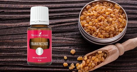 All About Frankincense Essential Oil - EO Guys