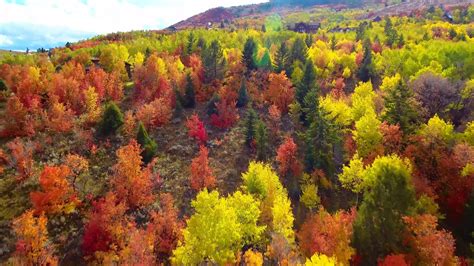 Sample Fall Colors 2017 At Bear Lake Via Drone Youtube