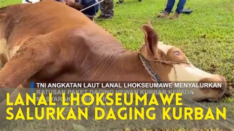 TNI AL Lanal Lhokseumawe Bagi Bagi Daging Kurban YouTube