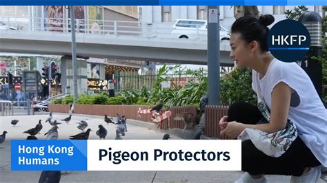 Hong Kong Humans The Pigeon Protectors Defying Public Disdain And The