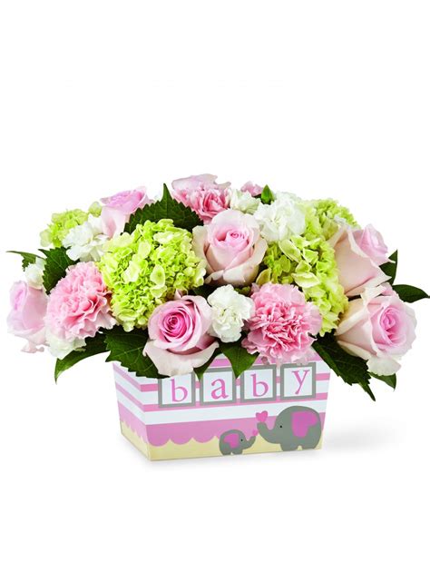 New Baby Flowers Same Day Delivery Today Flower Delivery