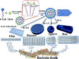 Shape Control Of Mesoporous Silica Nanomaterials Templated With Dual