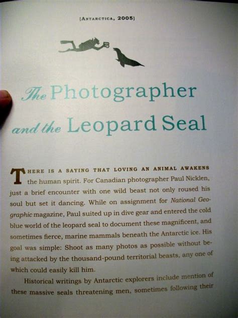 A slight departure... The Leopard Seal and the Photographer. - Horse ...