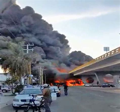 Pipa Trata De Ganarle El Paso Al Tren No Lo Logra