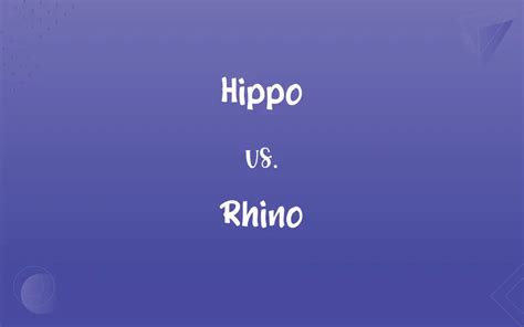 Hippo vs. Rhino: What’s the Difference?