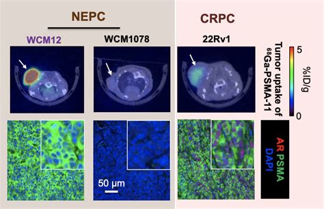 Misha Beltran On Twitter So Excited To Share Our New Paper