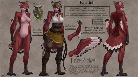 Farideh Reference Sheet By Mysterybbq Hentai Foundry
