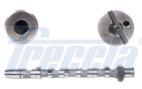 NOCKENWELLE FRECCIA CM05 2121 EINLASSSEITE FÜR AUDI A6 4B eBay