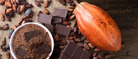 Benefícios e Receitas com Cacau | Nutrição | Continente
