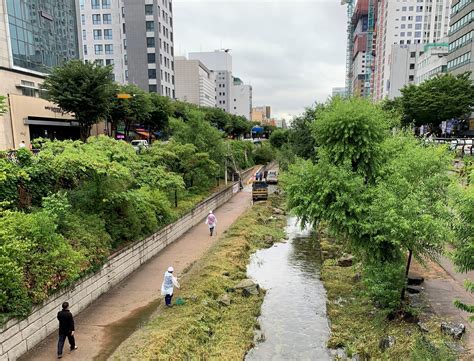 Cheonggyecheon Restoration Project Green City Blog