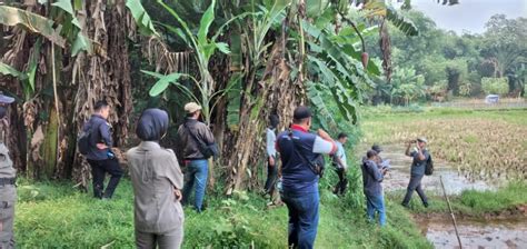 Ratusan Bidang Tanah Aset Terpidana Kasaus Korupsi Jiwasraya Di Rumpin