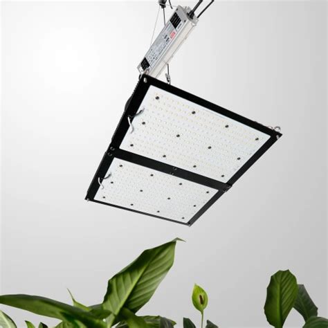 Phlizon 200W LED Quantum Board Grow Light China Manufacturers Suppliers