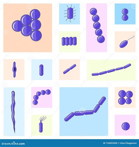 Purple Coccus, Bacillus, Curved Bacteria In Circles Shape. Stock Photography | CartoonDealer.com ...