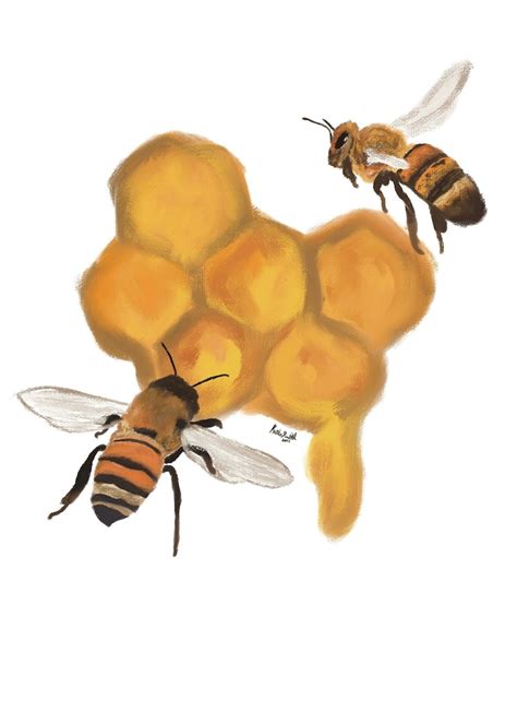 Honey Bee and Honeycomb Art Print, Physical Print, Glossy Photo Paper, Digital Art, Illustration ...