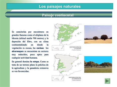 Paisajes Vegetales Naturales De Espa A Ppt