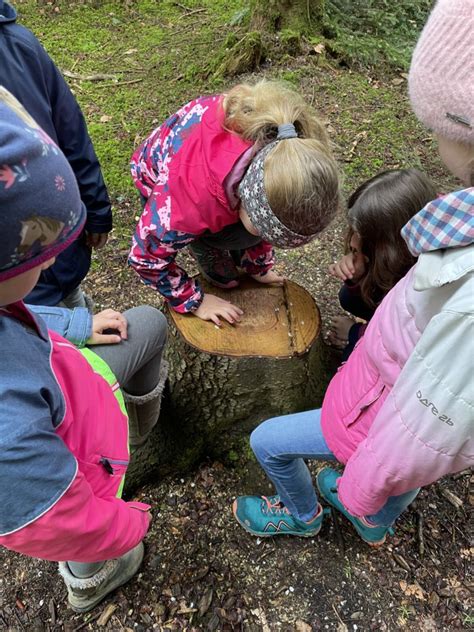 2b Auf Entdeckungsreise Im Wald Grundschule Saaldorf Surheim