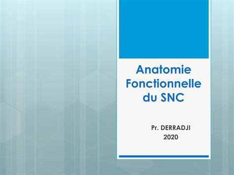 Dr Derradji Anatomie Fonctionnelle Du Snc Pdf