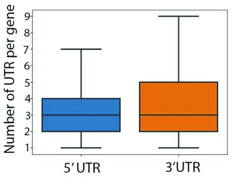 Distribution of the number of 5' UTRs and 3' UTRs per gene in genes ... 