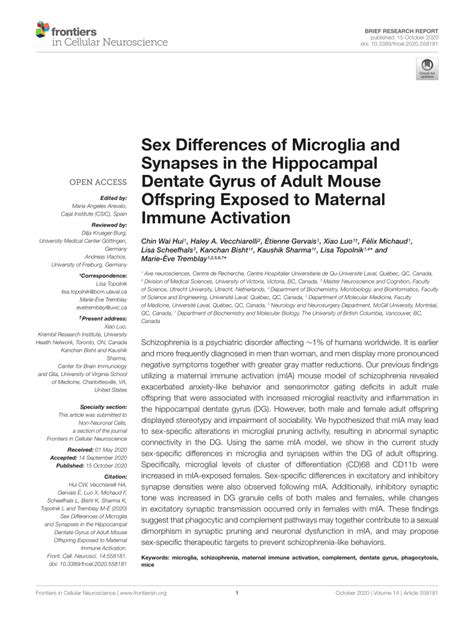 PDF Sex Differences Of Microglia And Synapses In The Hippocampal