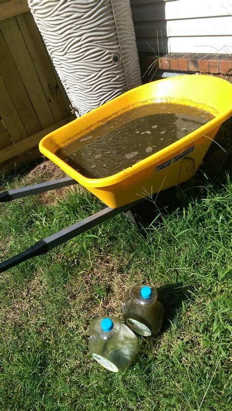 Gaia's Backyard: Compost Tea